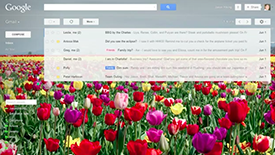 Gmail Custom Themes
